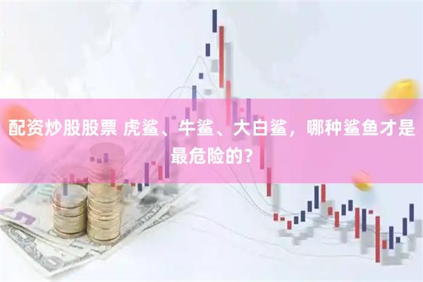配资炒股股票 虎鲨、牛鲨、大白鲨，哪种鲨鱼才是最危险的？
