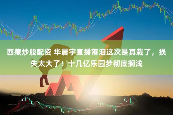 西藏炒股配资 华晨宇直播落泪这次是真栽了，损失太大了！十几亿乐园梦彻底搁浅